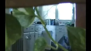 Сексуальні ігри українське порно відео зі смертю на атракціонах