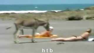 Голі жінки смокчуть