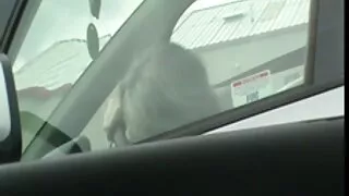 У театрі пестить кицьку порно відео українське ніжною Азіатки в трусиках