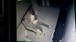 Дебютантка